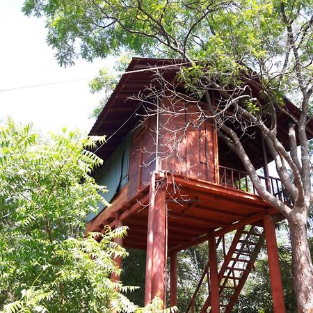 Вилла Dambulla Tree House Экстерьер фото