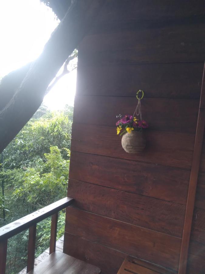 Вилла Dambulla Tree House Экстерьер фото
