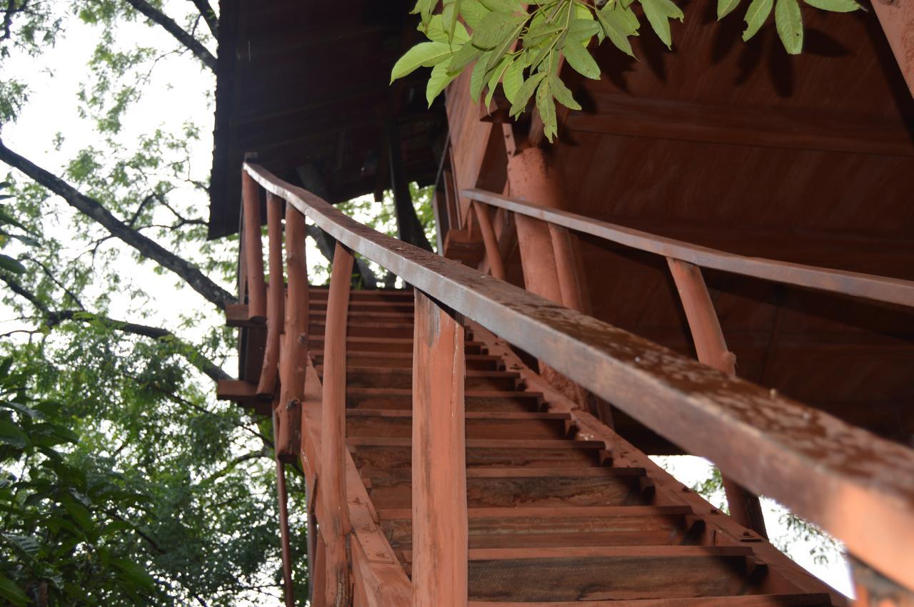 Вилла Dambulla Tree House Экстерьер фото