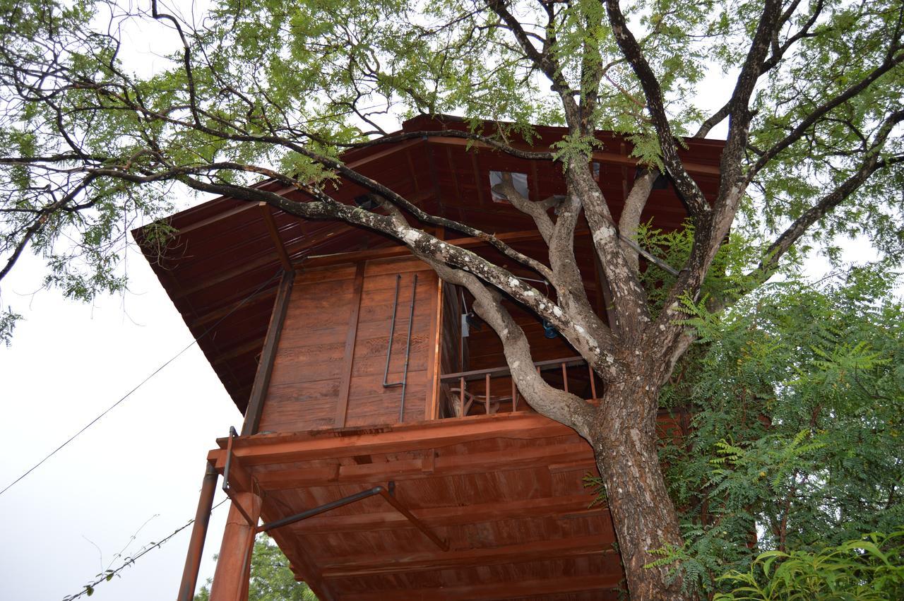 Вилла Dambulla Tree House Экстерьер фото
