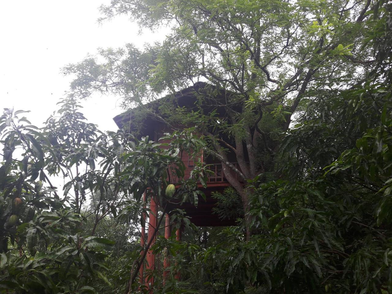 Вилла Dambulla Tree House Экстерьер фото