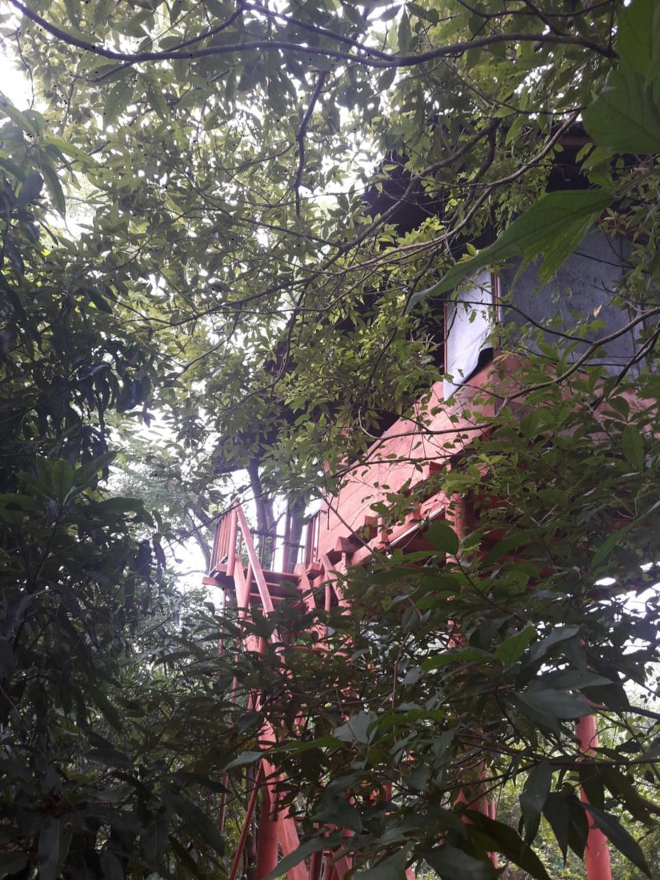 Вилла Dambulla Tree House Экстерьер фото