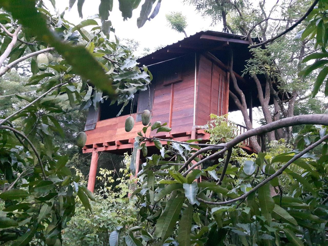 Вилла Dambulla Tree House Экстерьер фото