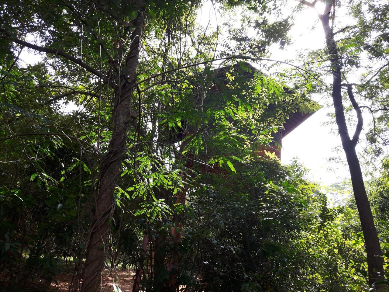 Вилла Dambulla Tree House Экстерьер фото